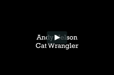 Andy Nelson Cat Wrangler Andy Nelson Cat Wrangler