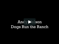 Andy Nelson Dogs Run the Ranch
