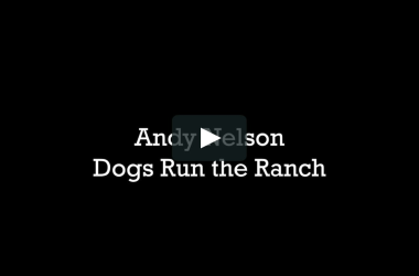 Andy Nelson Dogs Run the Ranch Andy Nelson Dogs Run the Ranch